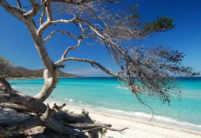 Casa Mulinchese Entre Et Montagne * Volpajola