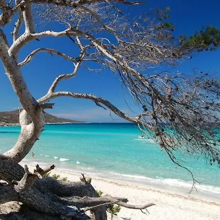 Casa Mulinchese Entre Mer Et Montagne * Volpajola