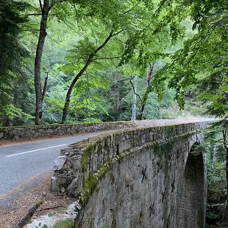 Casa Mulinchese Entre Et Montagne Volpajola